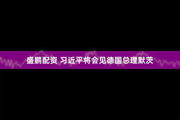 盛鹏配资 习近平将会见德国总理默茨