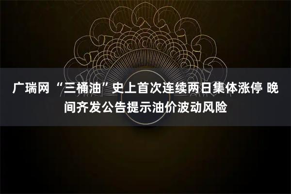 广瑞网 “三桶油”史上首次连续两日集体涨停 晚间齐发公告提示油价波动风险