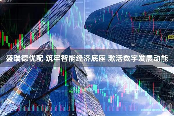 盛瑞德优配 筑牢智能经济底座 激活数字发展动能
