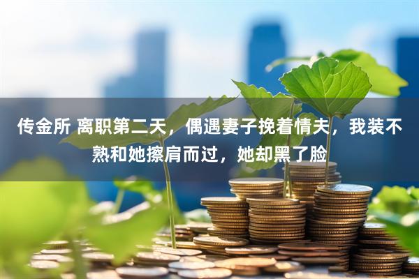 传金所 离职第二天，偶遇妻子挽着情夫，我装不熟和她擦肩而过，她却黑了脸