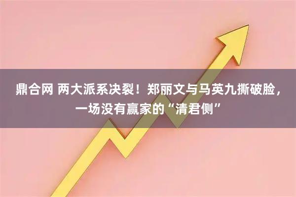 鼎合网 两大派系决裂！郑丽文与马英九撕破脸，一场没有赢家的“清君侧”