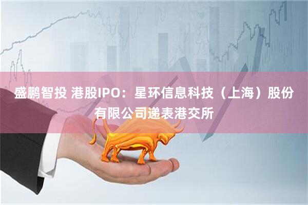 盛鹏智投 港股IPO：星环信息科技（上海）股份有限公司递表港交所