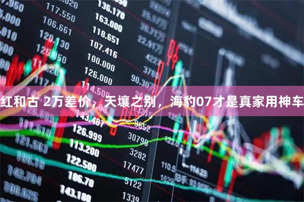 红和古 2万差价，天壤之别，海豹07才是真家用神车