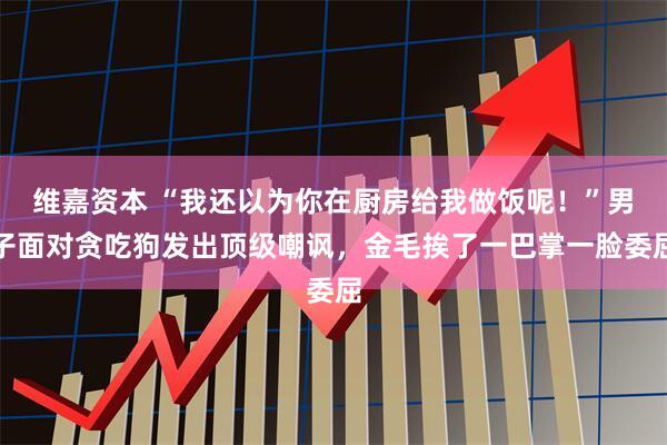 维嘉资本 “我还以为你在厨房给我做饭呢！”男子面对贪吃狗发出顶级嘲讽，金毛挨了一巴掌一脸委屈