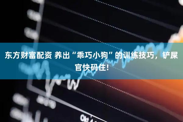 东方财富配资 养出“乖巧小狗”的训练技巧，铲屎官快码住!