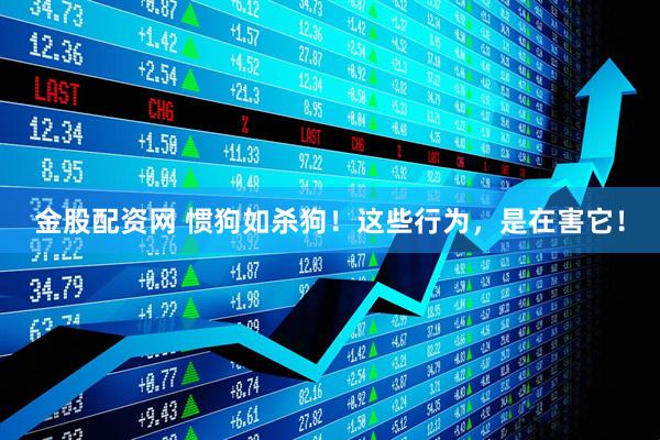 金股配资网 惯狗如杀狗！这些行为，是在害它！