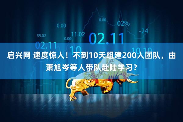 启兴网 速度惊人！不到10天组建200人团队，由萧旭岑等人带队赴陆学习？