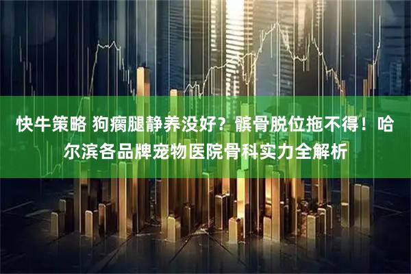 快牛策略 狗瘸腿静养没好？髌骨脱位拖不得！哈尔滨各品牌宠物医院骨科实力全解析
