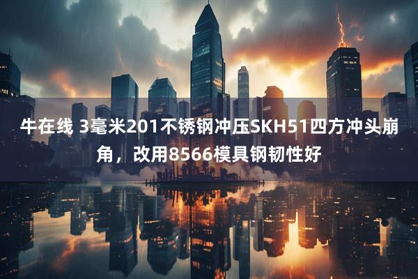 牛在线 3毫米201不锈钢冲压SKH51四方冲头崩角,改用8566模具钢韧性好