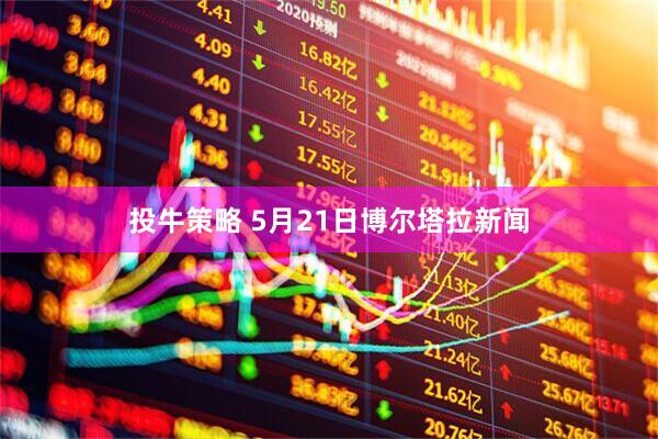 投牛策略 5月21日博尔塔拉新闻