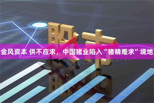 金风资本 供不应求，中国猪业陷入“猪精难求”境地