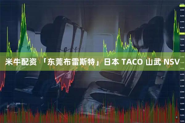 米牛配资 「东莞布雷斯特」日本 TACO 山武 NSV