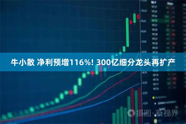 牛小散 净利预增116%! 300亿细分龙头再扩产