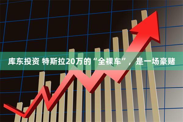 库东投资 特斯拉20万的“全裸车”,是一场豪赌