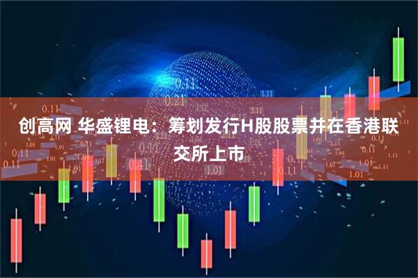 创高网 华盛锂电：筹划发行H股股票并在香港联交所上市