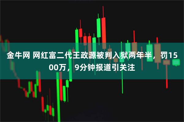 金牛网 网红富二代王政源被判入狱两年半，罚1500万，9分钟报道引关注