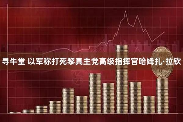 寻牛堂 以军称打死黎真主党高级指挥官哈姆扎·拉钦