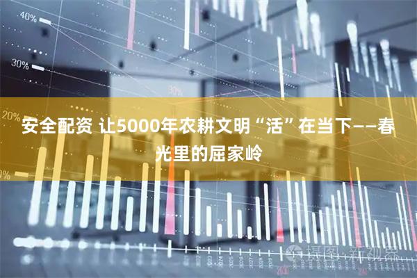 安全配资 让5000年农耕文明“活”在当下——春光里的屈家岭