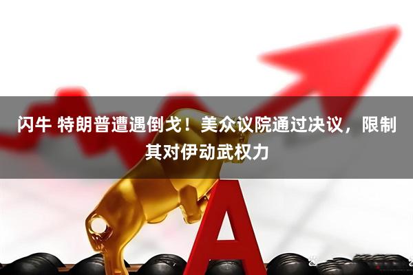 闪牛 特朗普遭遇倒戈！美众议院通过决议，限制其对伊动武权力