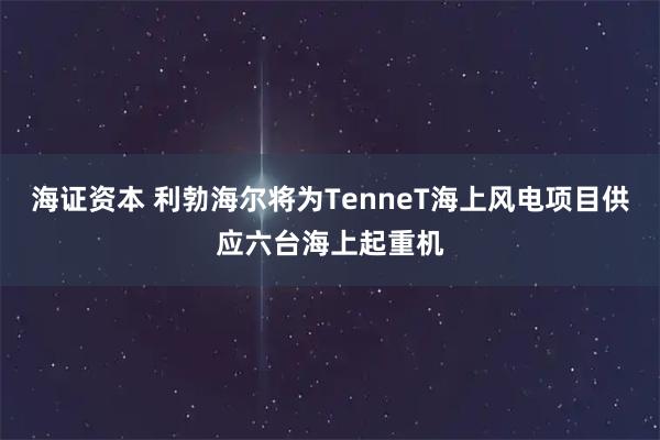 海证资本 利勃海尔将为TenneT海上风电项目供应六台海上起重机