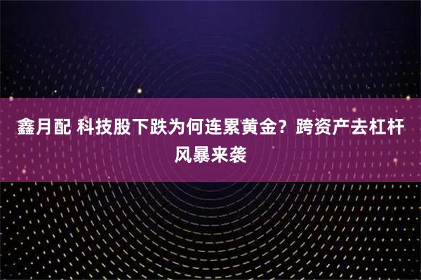 鑫月配 科技股下跌为何连累黄金?跨资产去杠杆风暴来袭